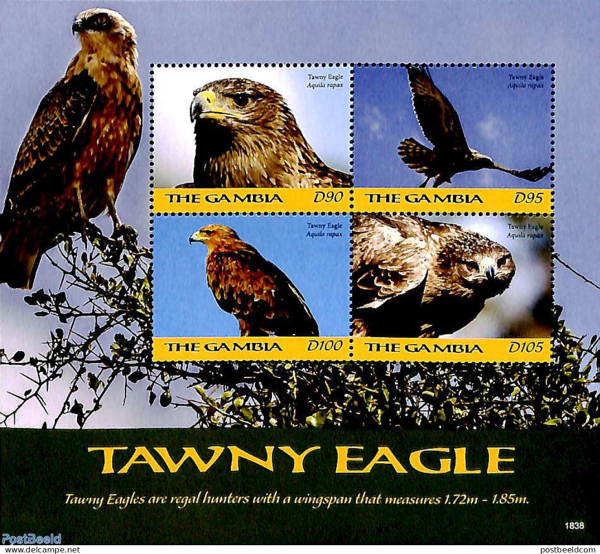 Gambia 2018 Tawny Eagle 4v M/s, Mint NH, Nature - Birds - Birds Of Prey - Gambie (...-1964)