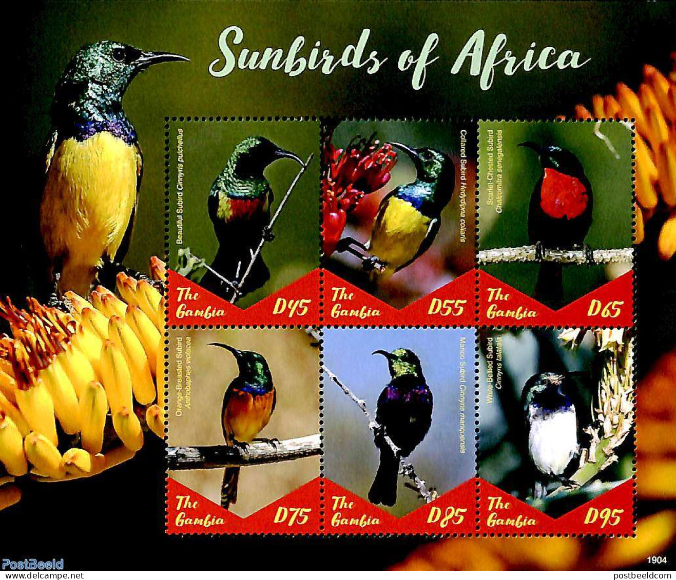 Gambia 2019 Sunbirds Of Africa 6v M/s, Mint NH, Nature - Birds - Gambie (...-1964)