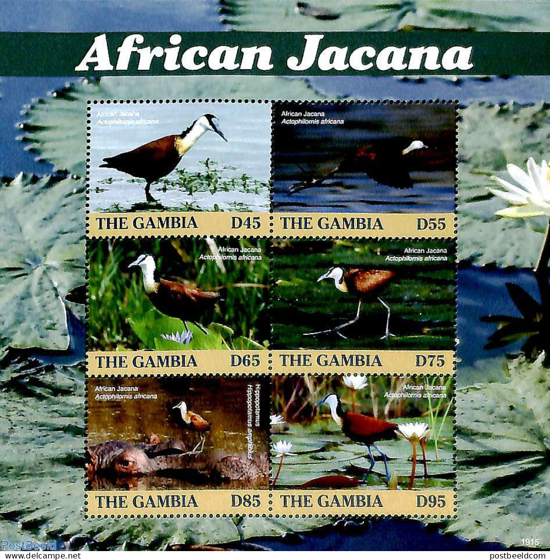 Gambia 2019 African Jacana 6v M/s, Mint NH, Nature - Birds - Gambia (...-1964)