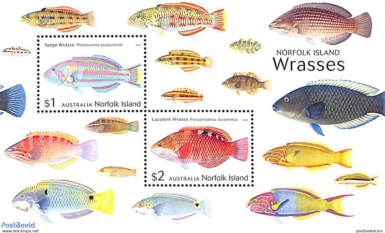 Norfolk Island 2018 Fish S/s, Mint NH, Nature - Fish - Fische