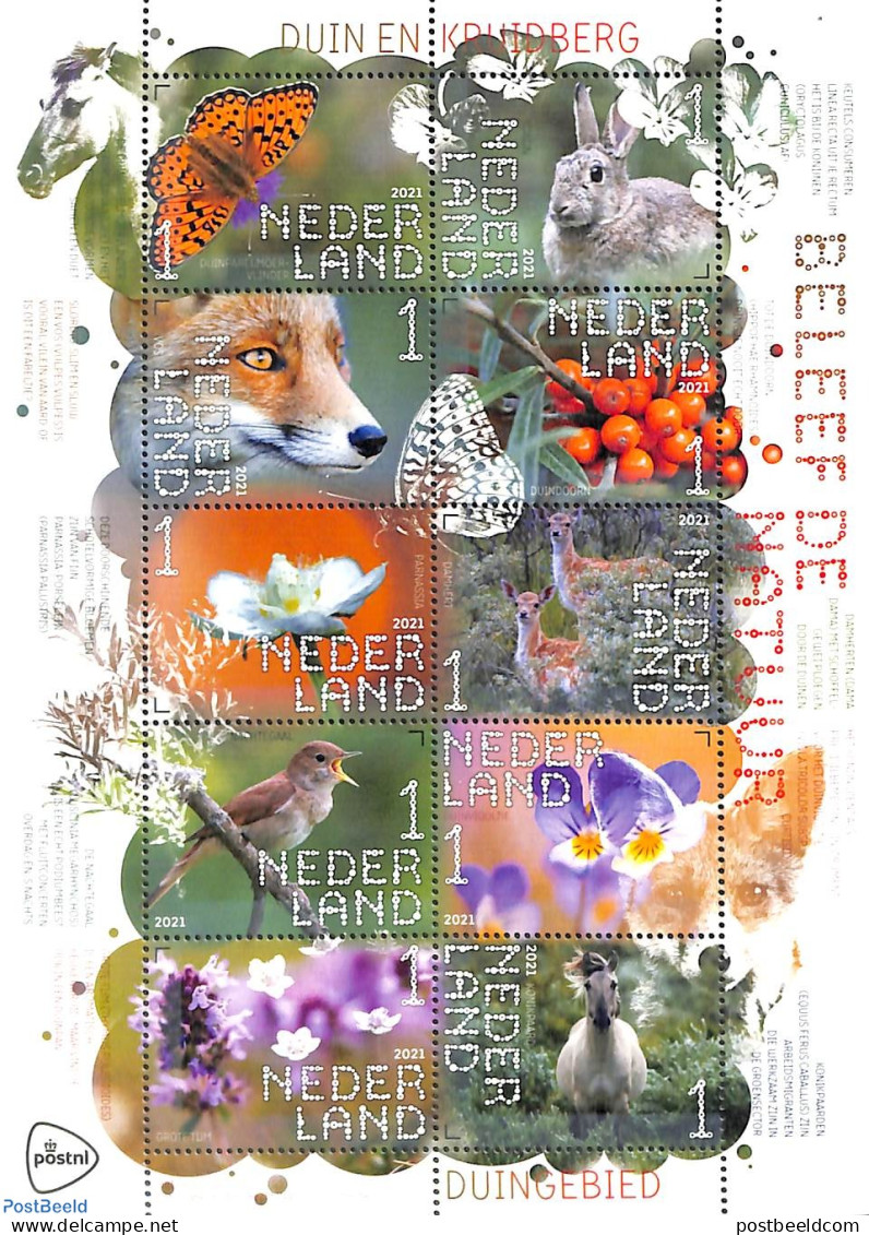 Netherlands 2021 Nature, Duin & Kruidberg 10v M/s S-a, Mint NH, Nature - Animals (others & Mixed) - Birds - Butterflie.. - Unused Stamps