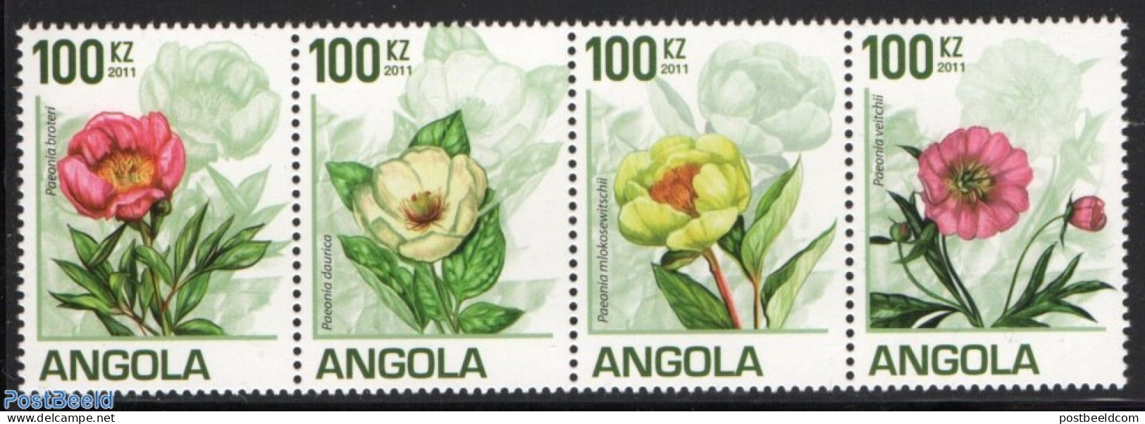 Angola 2011 Peonies 4v, Mint NH, Nature - Flowers & Plants - Angola