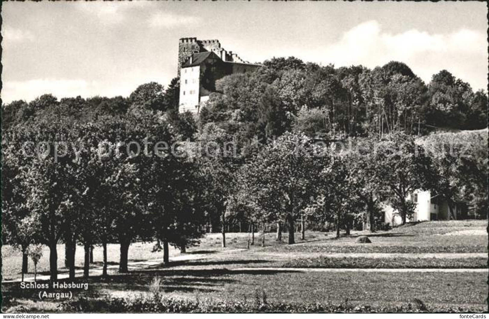 11777257 Habsburg Schloss Habsburg Habsburg - Sonstige & Ohne Zuordnung