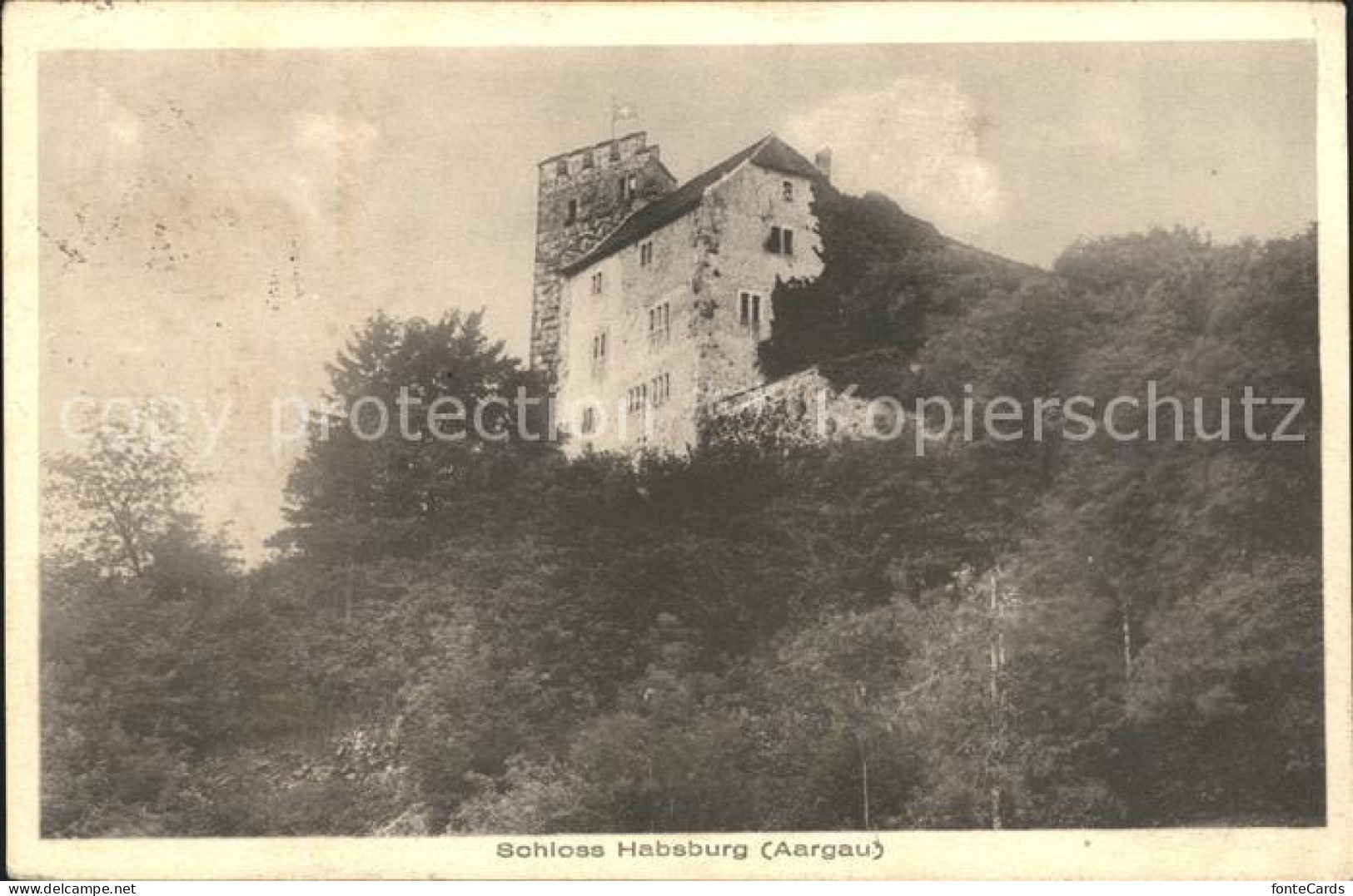 11777247 Habsburg Schloss Habsburg Habsburg - Other & Unclassified