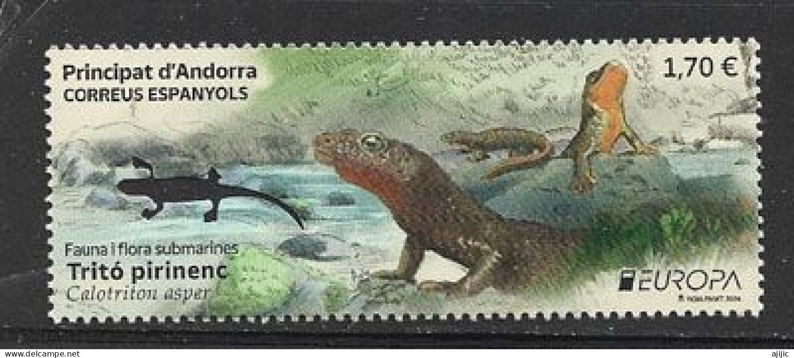 2024 ANDORRA. Europa CEPT. (SP)  Fauna Y Flora Submarinas. Calotritón De Los Pirineos, Sello Nuevo ** - Unused Stamps