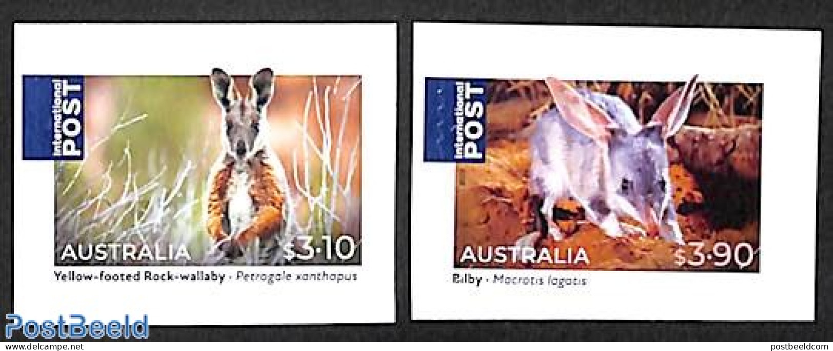 Australia 2023 Animals 2v S-a, Mint NH, Nature - Animals (others & Mixed) - Unused Stamps