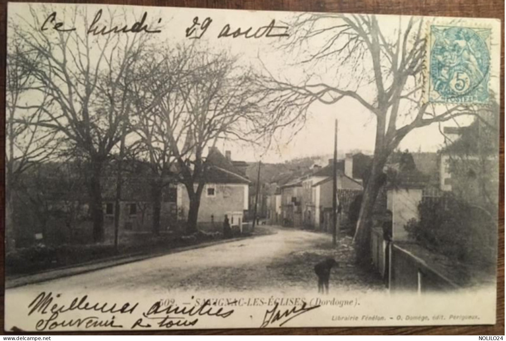 Cpa 24 Dordogne, SAVIGNAC LES EGLISES, éd Domège 502, écrite En 1902 - Autres & Non Classés