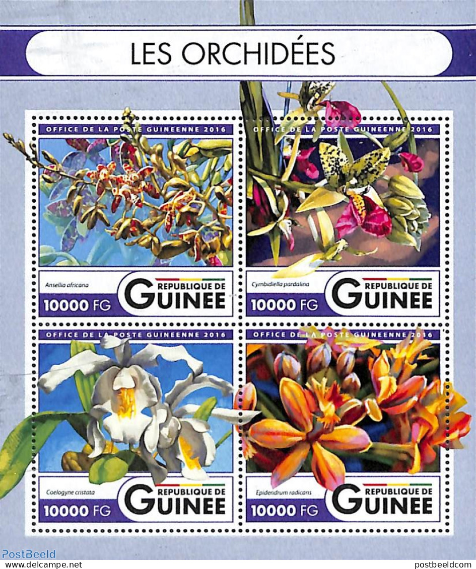 Guinea, Republic 2016 Orchids 4v M/s, Mint NH, Nature - Flowers & Plants - Orchids - Autres & Non Classés