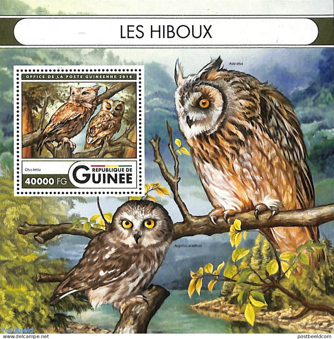 Guinea, Republic 2016 Owl S/s, Mint NH, Nature - Birds - Birds Of Prey - Owls - Sonstige & Ohne Zuordnung