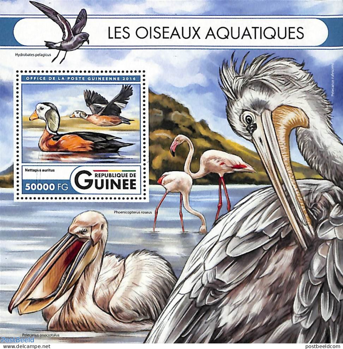 Guinea, Republic 2016 Waterbirds S/s, Mint NH, Nature - Birds - Ducks - Autres & Non Classés