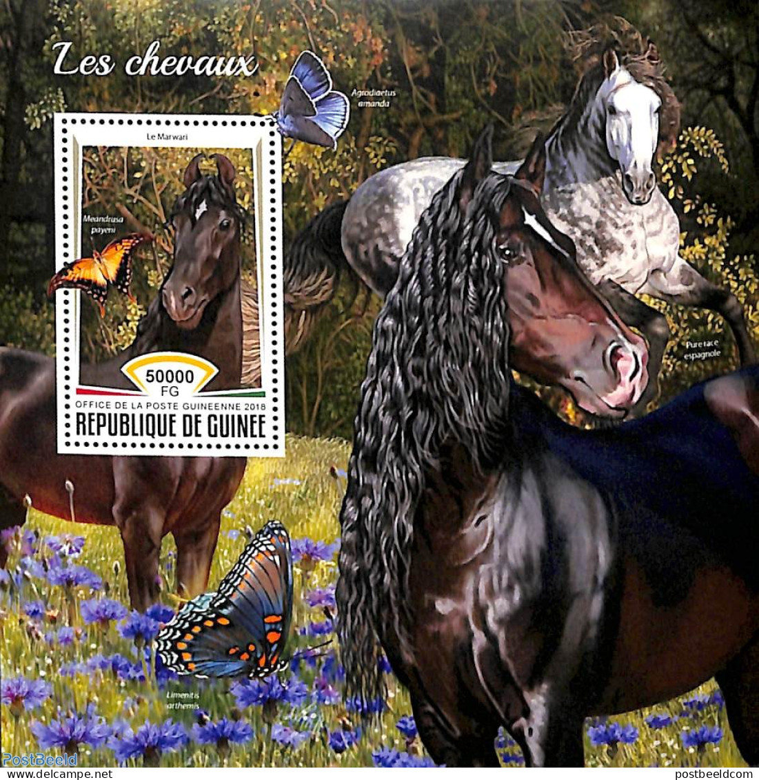 Guinea, Republic 2018 Horses S/s, Mint NH, Nature - Horses - Other & Unclassified