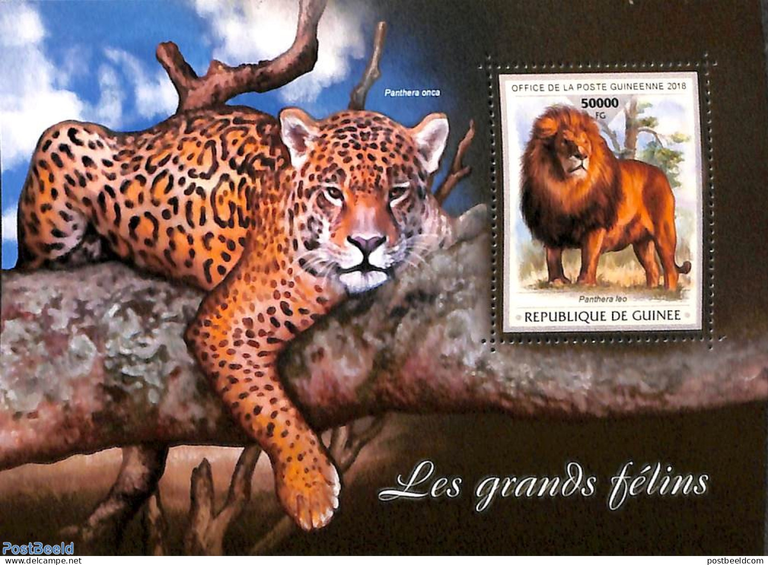 Guinea, Republic 2017 Big Cats S/s, Mint NH, Nature - Animals (others & Mixed) - Cat Family - Sonstige & Ohne Zuordnung