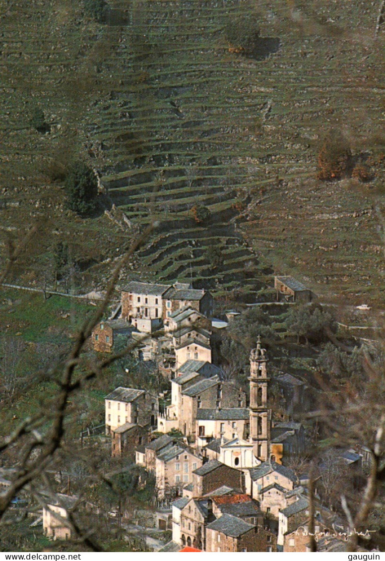 CPM - CASTAGNICCIA - Vue Panoramique - Photo Fr.Desjobert - Edition "U Sguardu" (Format 17x12) - Other & Unclassified