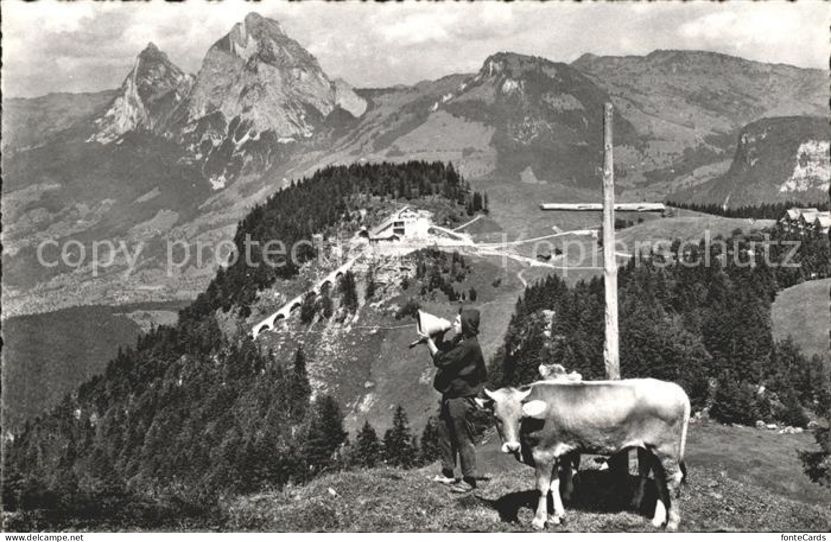 11777027 Stoos SZ Und Die Mythen Gipfelkreuz Betruf Kuh Stoos SZ - Andere & Zonder Classificatie