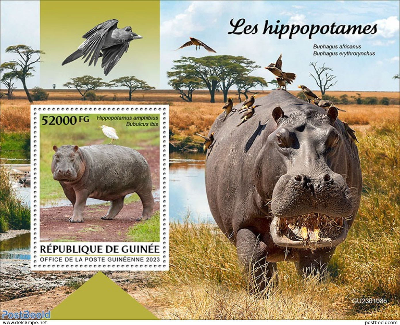 Guinea, Republic 2023 Hippos, Mint NH, Nature - Hippopotamus - Sonstige & Ohne Zuordnung