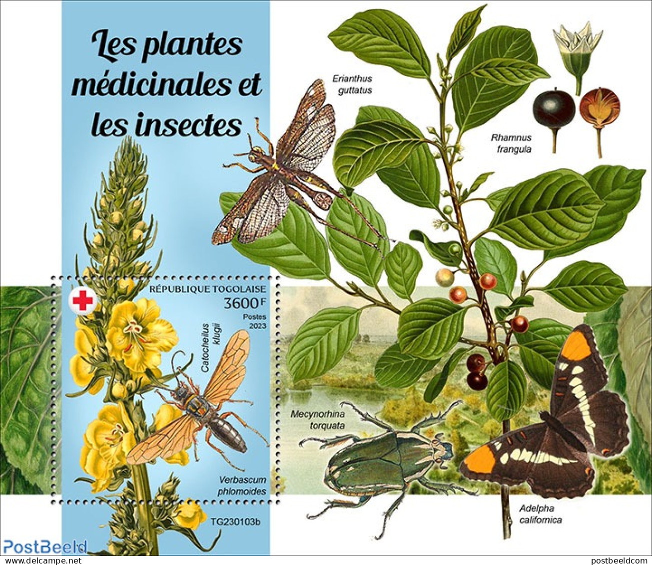 Togo 2023 Medical Plants And Insects, Mint NH, Nature - Flowers & Plants - Insects - Togo (1960-...)