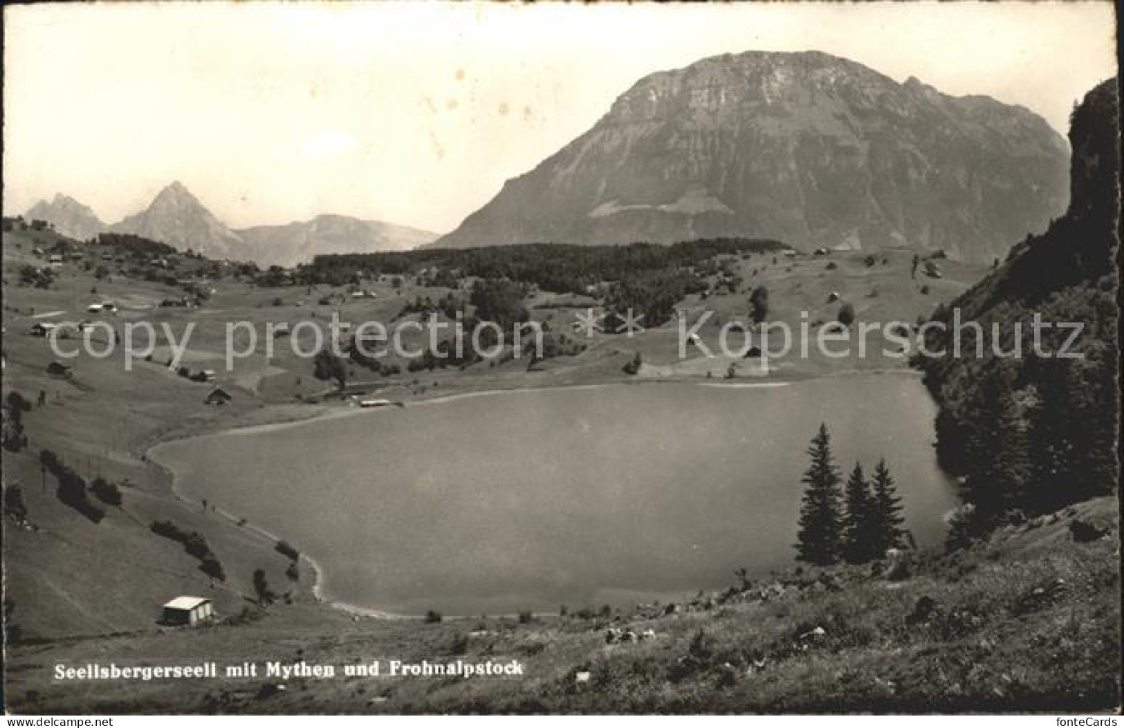 11776876 Seelisberg UR Seelisberger Seeli Mit Mythen Und Frohnalpstock Seelisber - Sonstige & Ohne Zuordnung