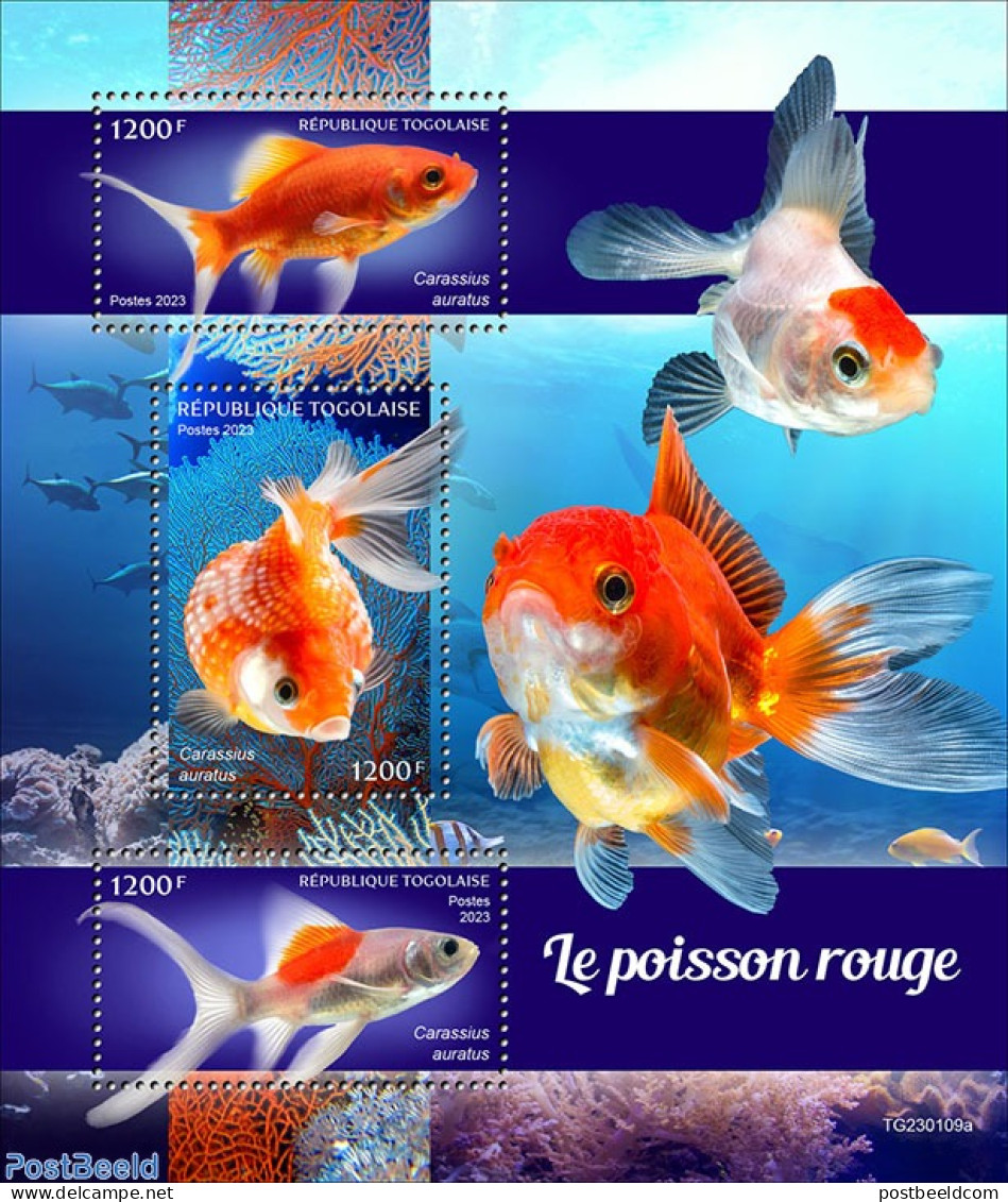 Togo 2023 Goldfish, Mint NH, Nature - Fish - Poissons