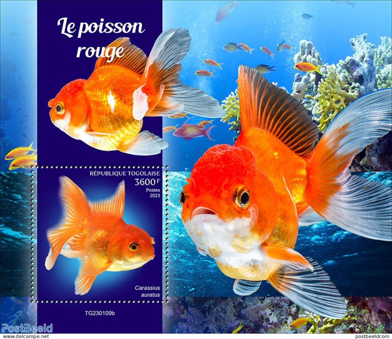 Togo 2023 Goldfish, Mint NH, Nature - Fish - Vissen