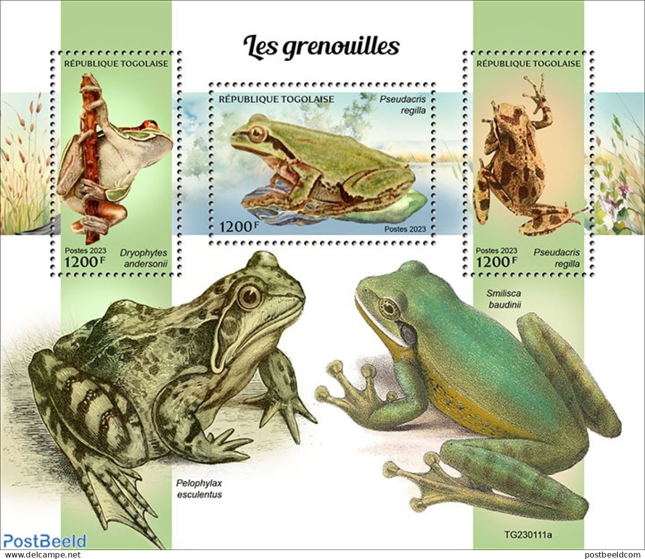 Togo 2023 Frogs, Mint NH, Nature - Frogs & Toads - Togo (1960-...)