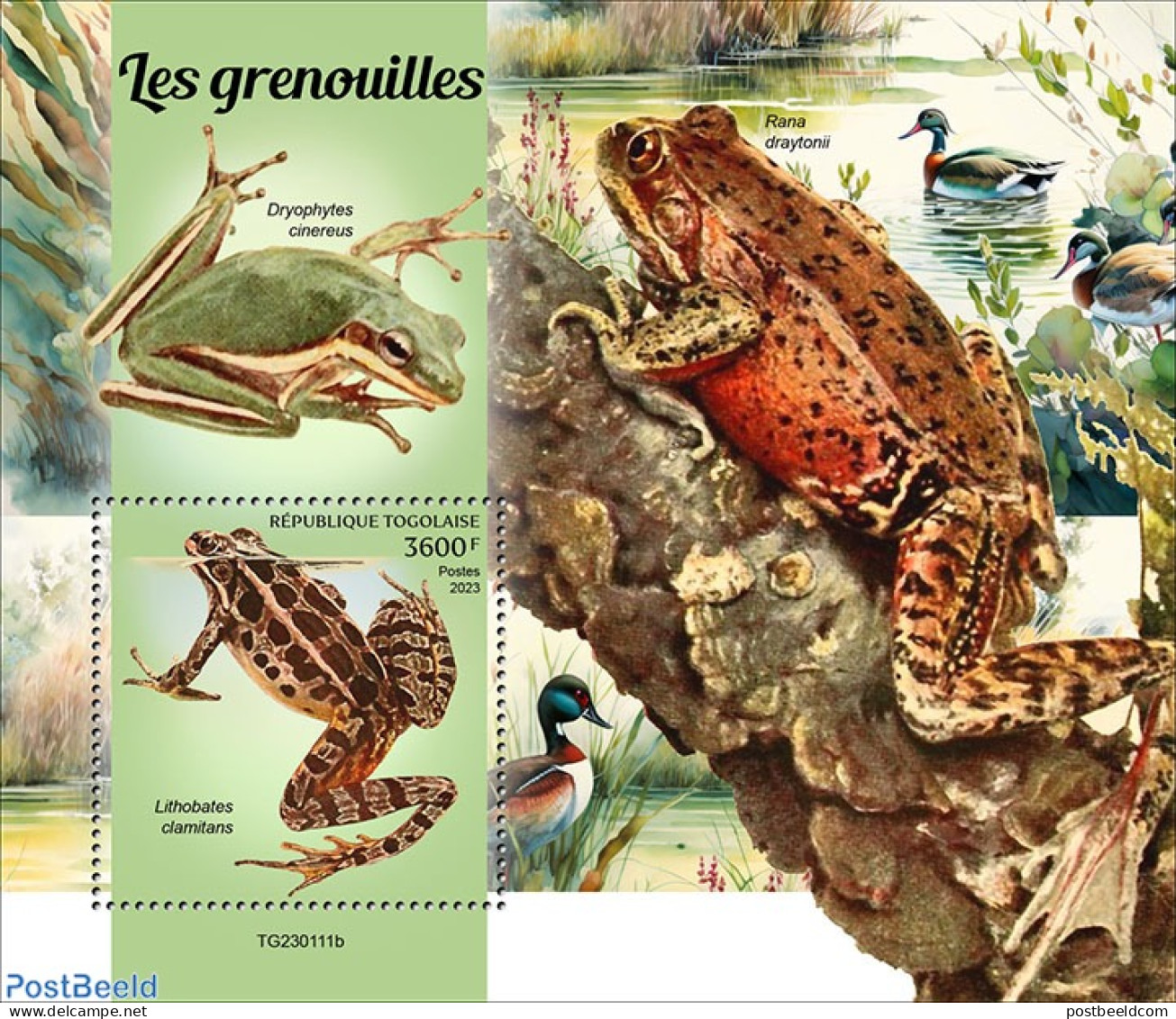 Togo 2023 Frogs, Mint NH, Nature - Ducks - Frogs & Toads - Togo (1960-...)