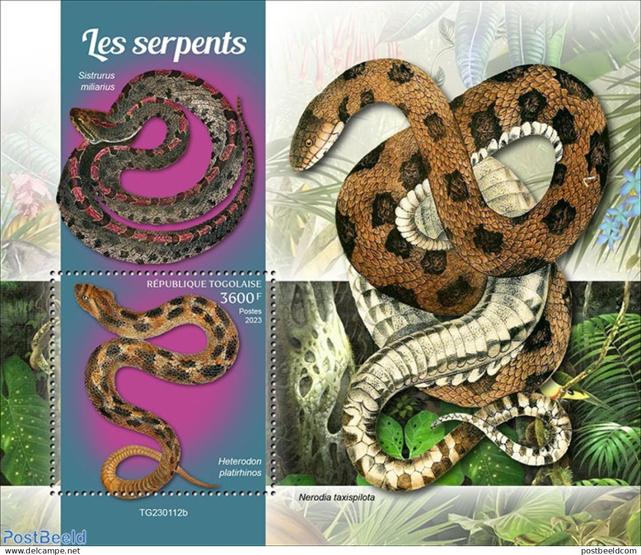 Togo 2023 Snakes, Mint NH, Nature - Snakes - Togo (1960-...)