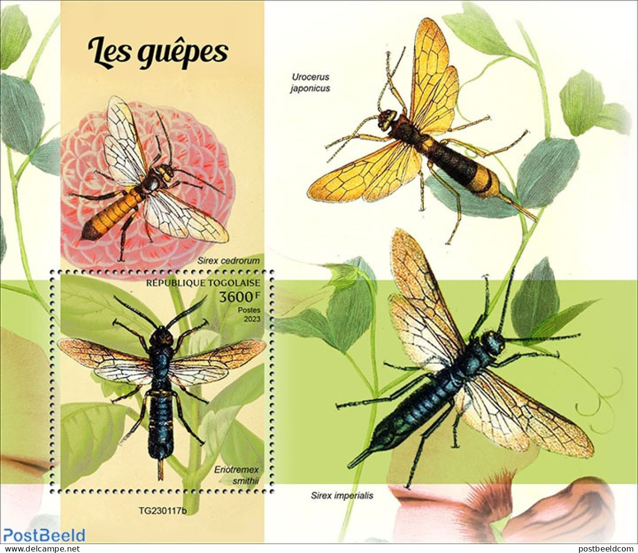 Togo 2023 Wasps, Mint NH, Nature - Flowers & Plants - Insects - Togo (1960-...)