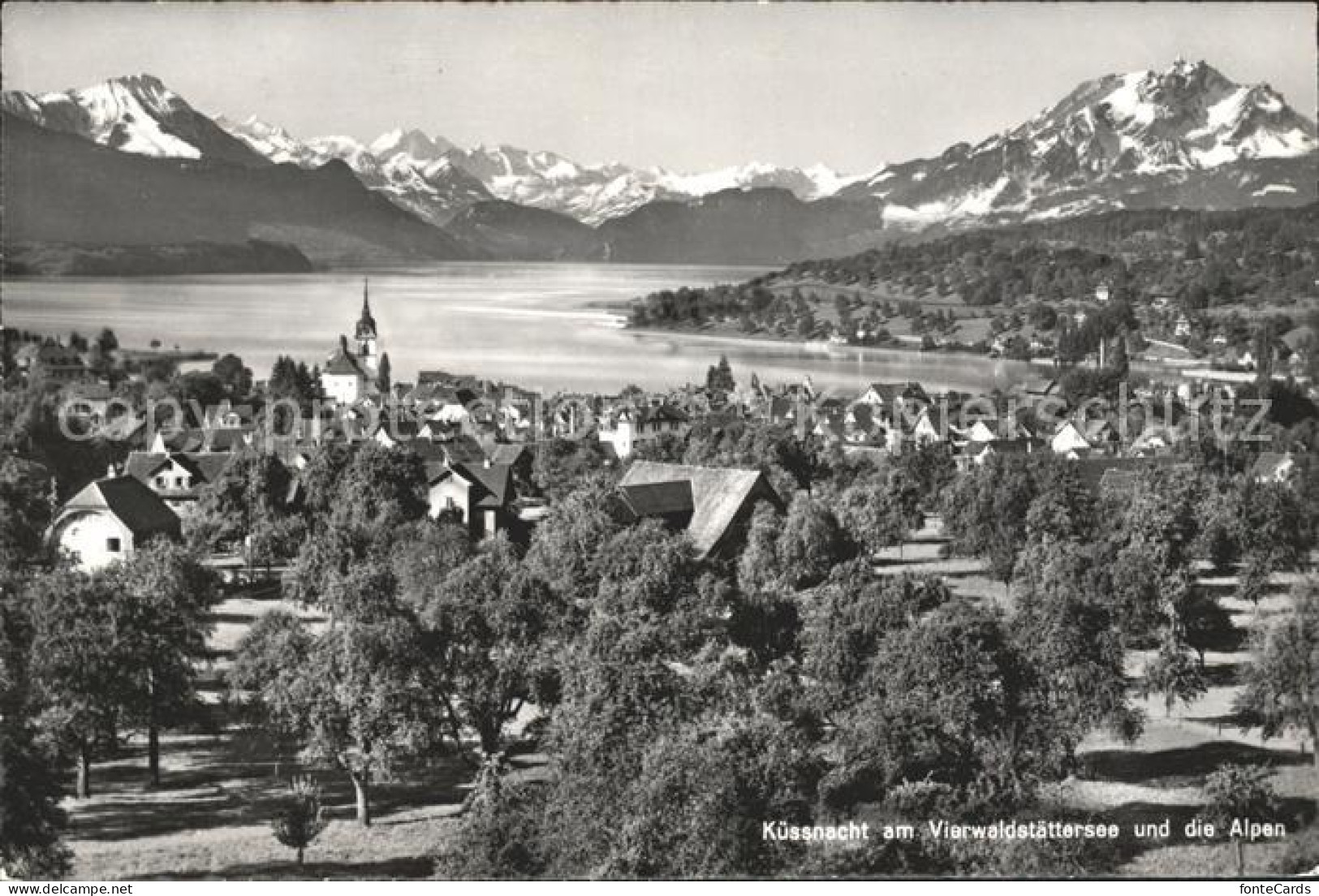 11776747 Kuessnacht Vierwaldstaettersee Mit Alpenpanorama Kuessnacht Am Rigi - Sonstige & Ohne Zuordnung