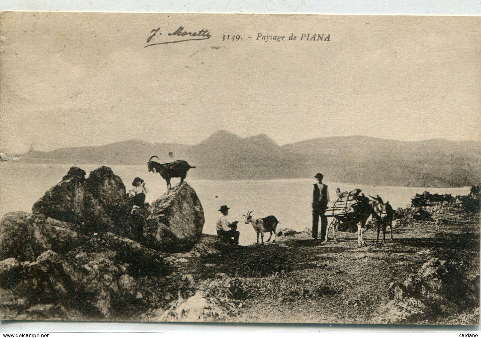 2A-CORSE  -  Paysage De PIANA - Sonstige & Ohne Zuordnung