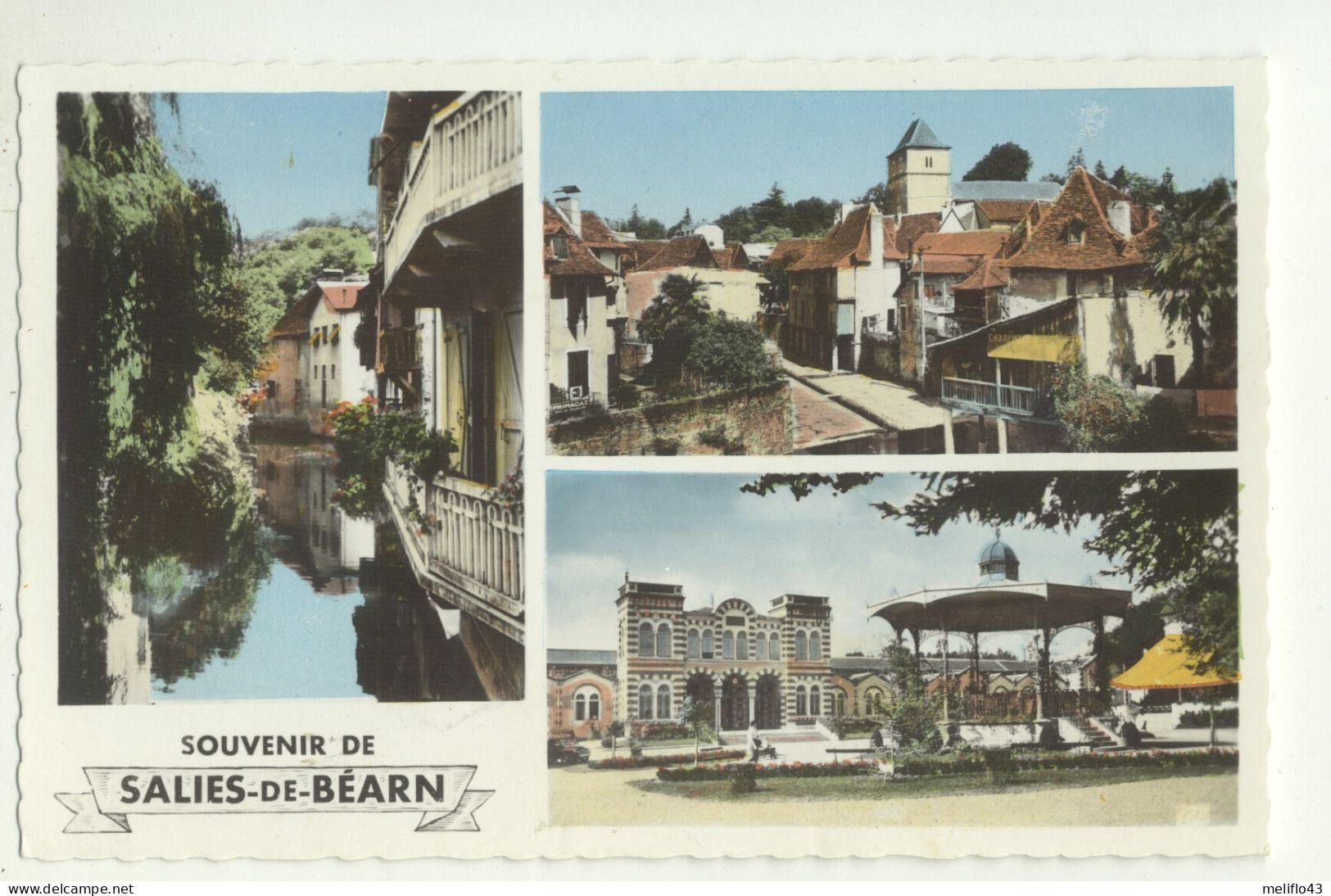 64/ CPSM - Souvenir De Salies De Béarn - Salies De Bearn