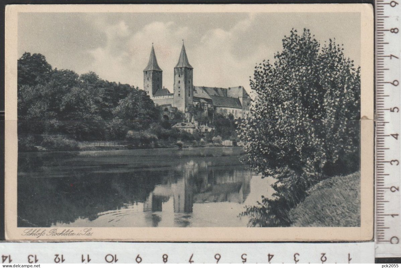 Rochlitz - Schloß Rochlitz In Sachsen, Nicht Gelaufen ( AK 4986) Günstige Versandkosten - Rochlitz