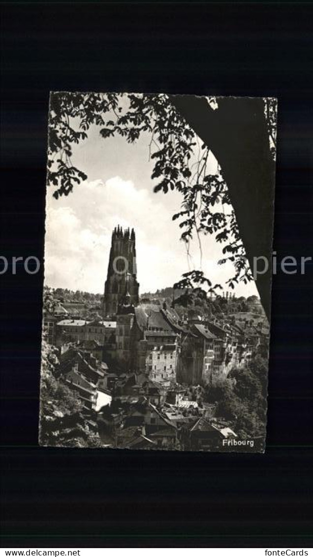 11773736 Fribourg FR Cathedrale Fribourg - Other & Unclassified