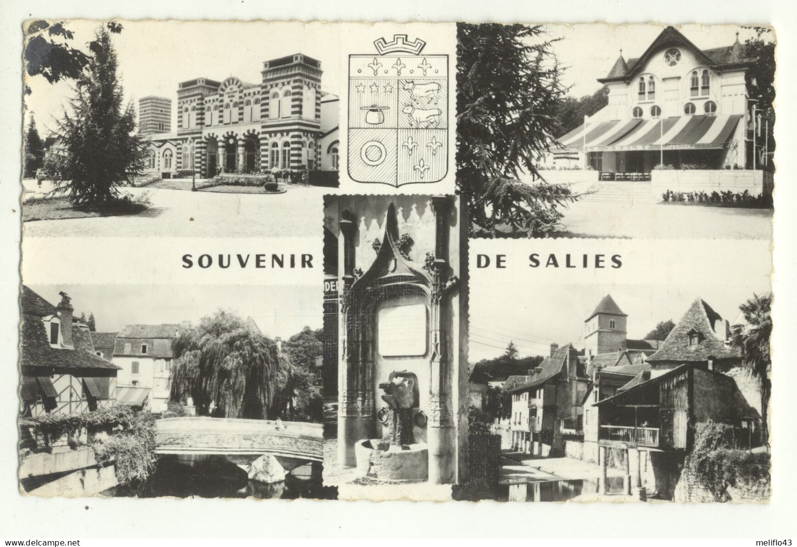 64/ CPSM - Souvenir De Salies - Salies De Bearn