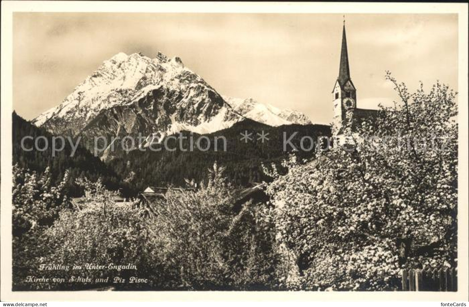 11773466 Unterengadin GR Fruehling Kirche Von Schuls Piz Pisoc St Moritz - Autres & Non Classés