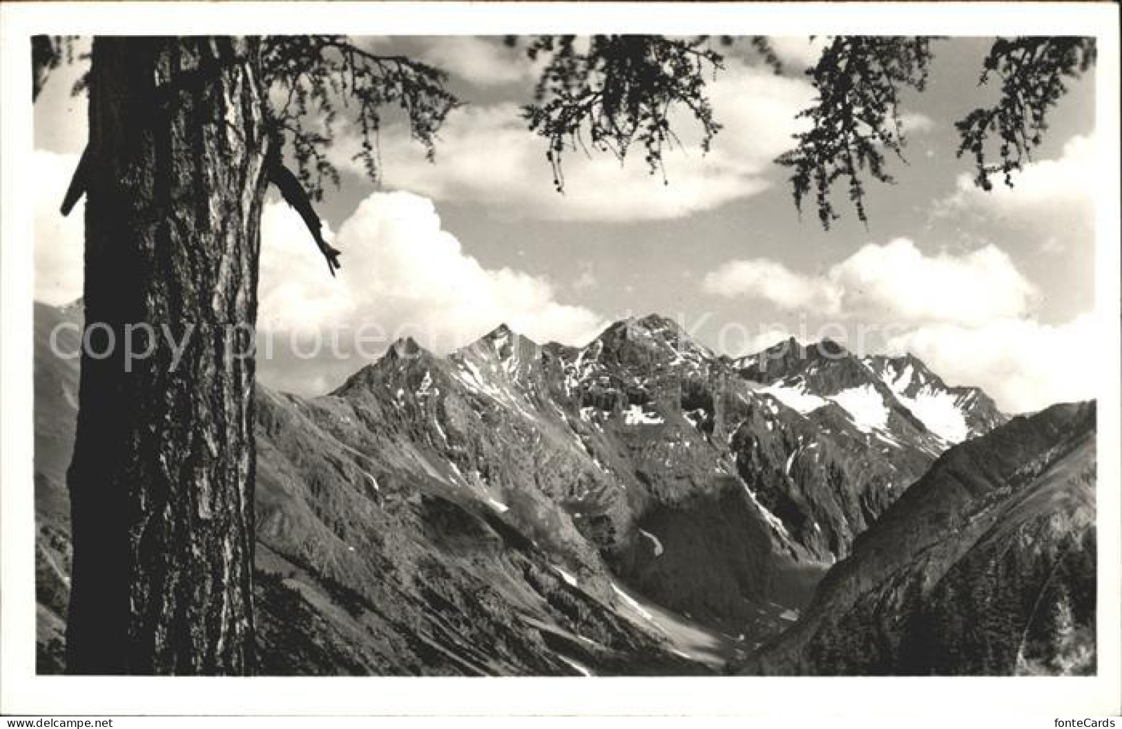 11773276 Cluozatal Nationalpark Zernez Blick Auf Diavelgruppe Zernez - Altri & Non Classificati