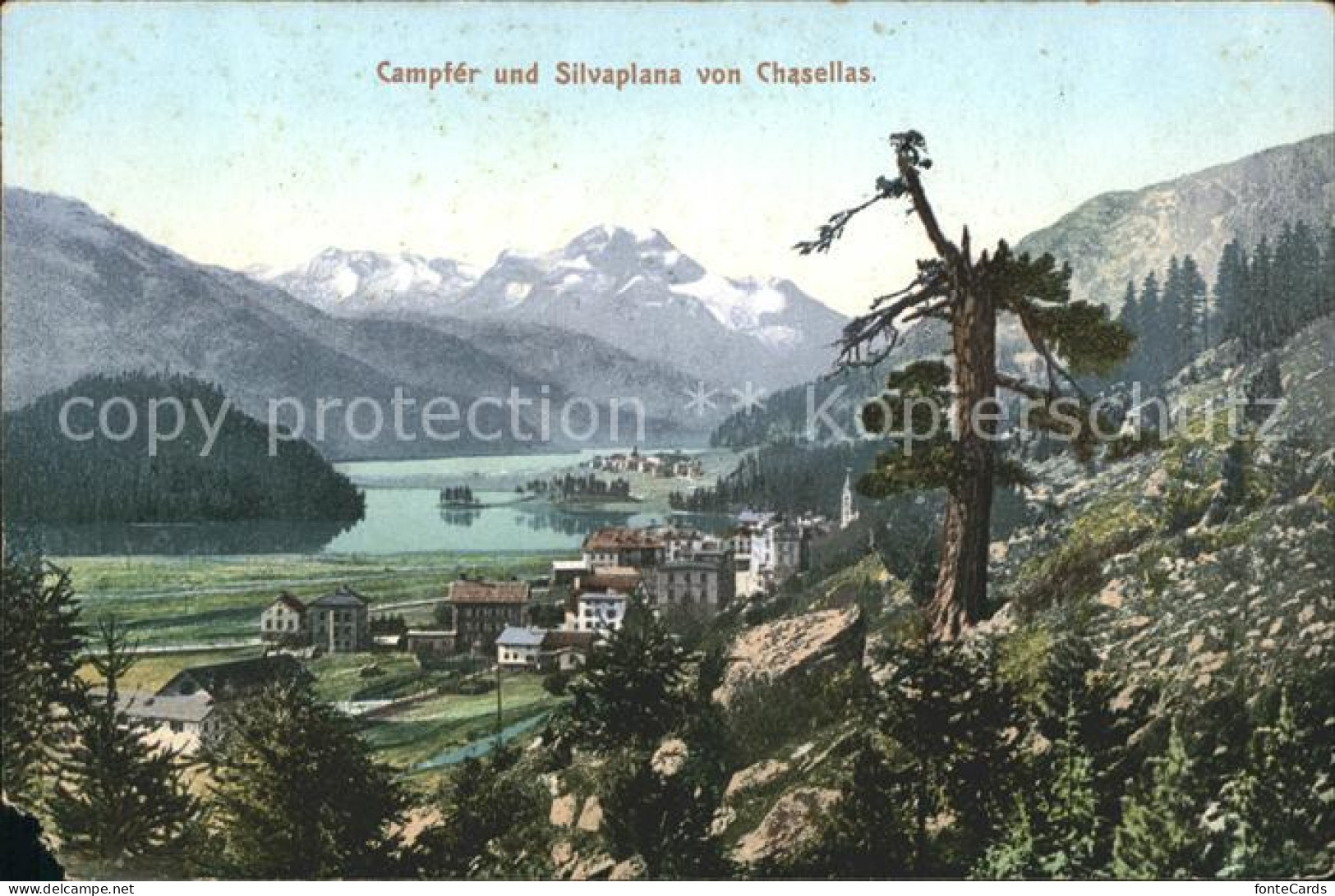 11773127 Campfer St Moritz GR Silvaplana Von Chasellas St Moritz - Altri & Non Classificati