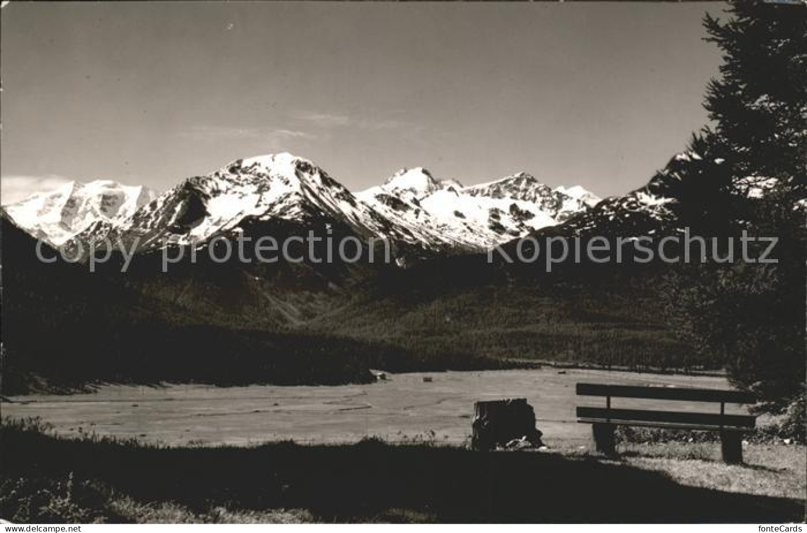 11772977 Samedan Ruhebank Alpenpanorama Samedan  - Sonstige & Ohne Zuordnung