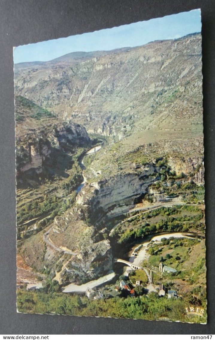 Les Gorges Du Tarn - Panorama De Saint-Chély - Editions Modernes "Théojac", Limoges - Gorges Du Tarn