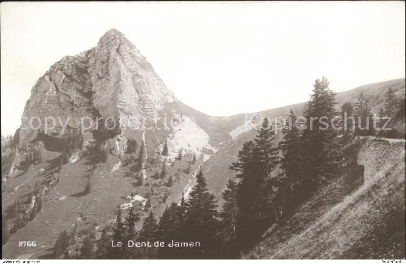 11770257 Dent De Jaman Vue Partielle Dent De Jaman - Altri & Non Classificati