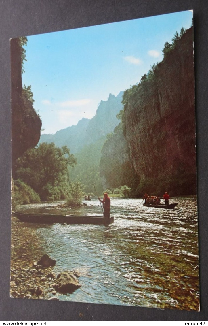 En Parcourant Les Gorges Du Tarn - Contre-jour Dans Les Détroits Descente En Barques - APA-POUX, Albi - Gorges Du Tarn