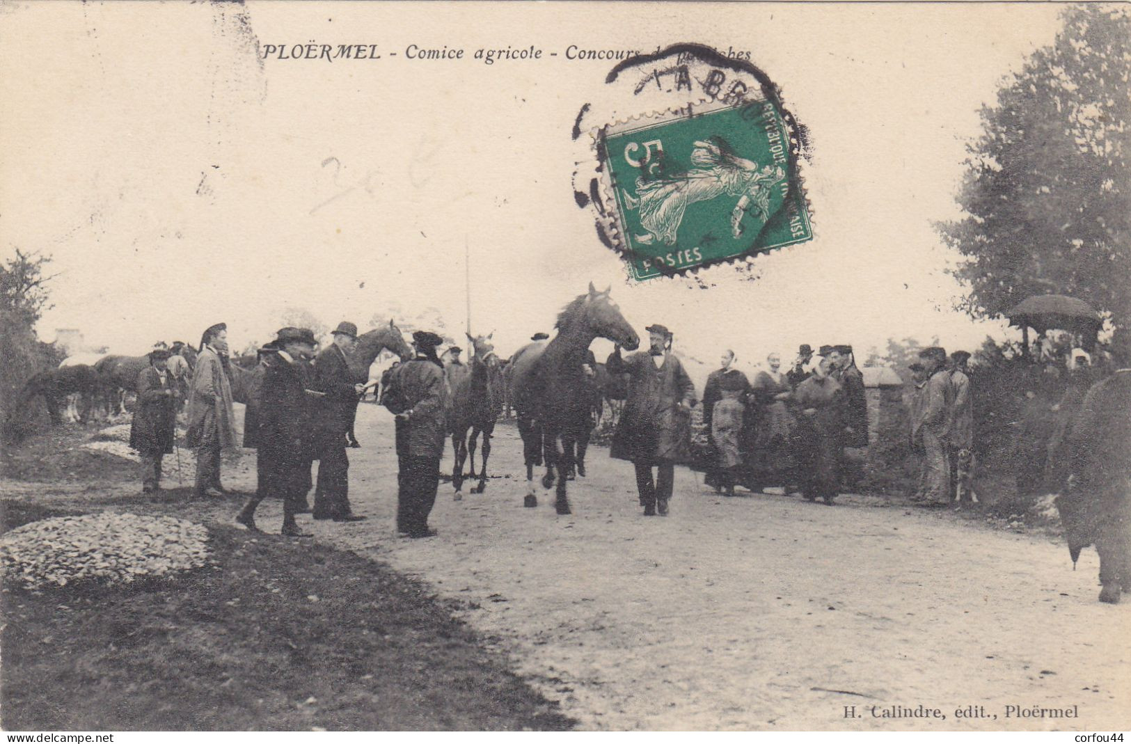 56 - PLOËRMEL : Comice Agricole - Concours De Pouliches - Une Des Cartes Les Plus Rare Sur Cette Commune - - Ploërmel