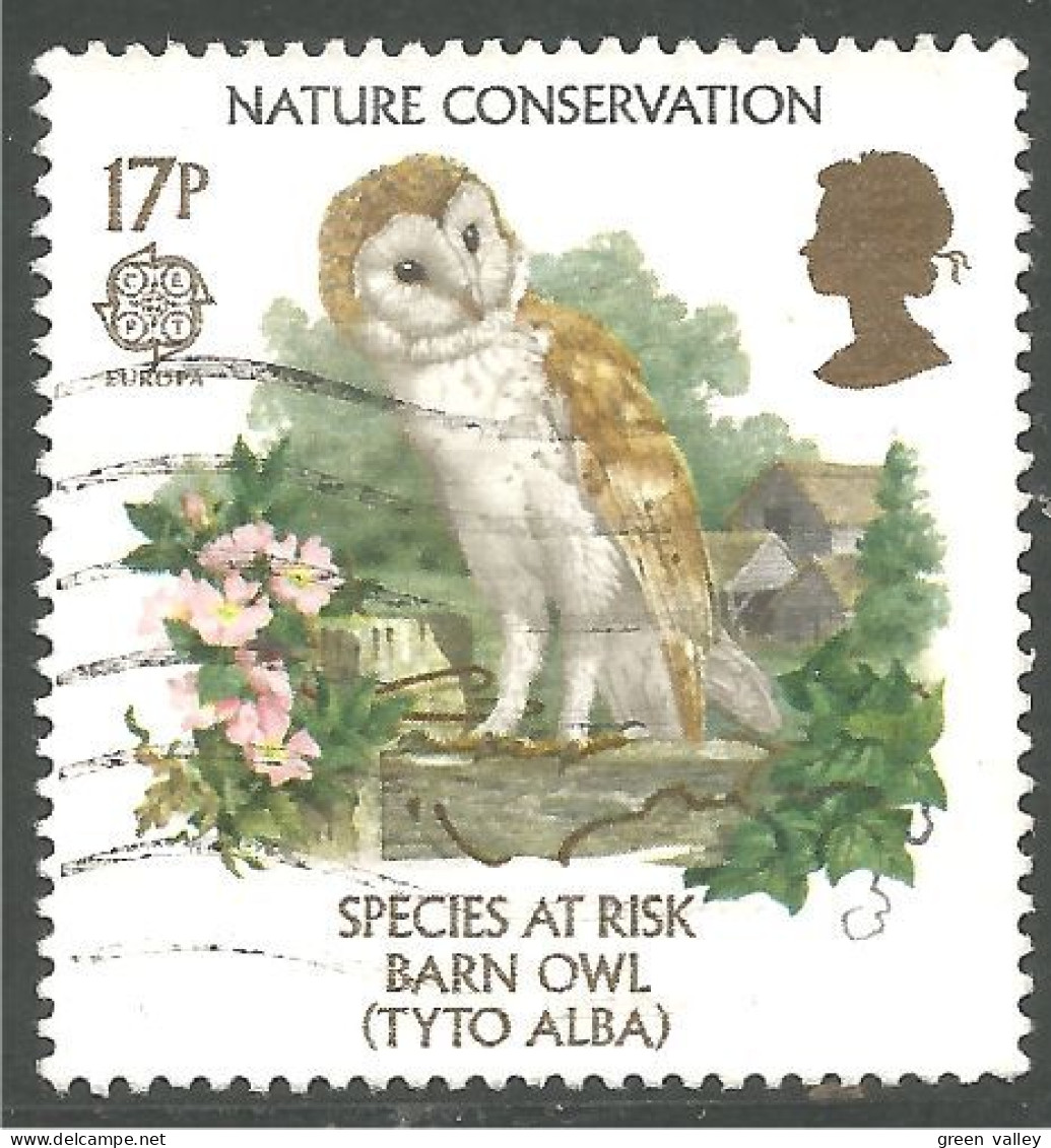 EU86-33 EUROPA CEPT 1986 Grande Bretagne Barn Owl Effraie Des Clochers - Eulenvögel