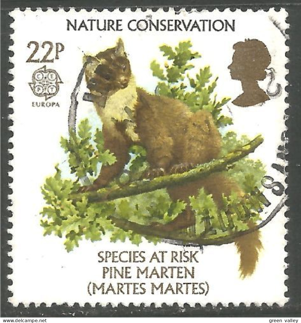 EU86-36 EUROPA CEPT 1986 Grande Bretagne Pine Marten Martre Des Pins - 1986