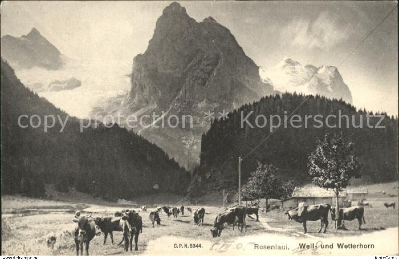 11769586 Rosenlaui BE Mit Well Und Wetterhorn Rosenlaui - Sonstige & Ohne Zuordnung