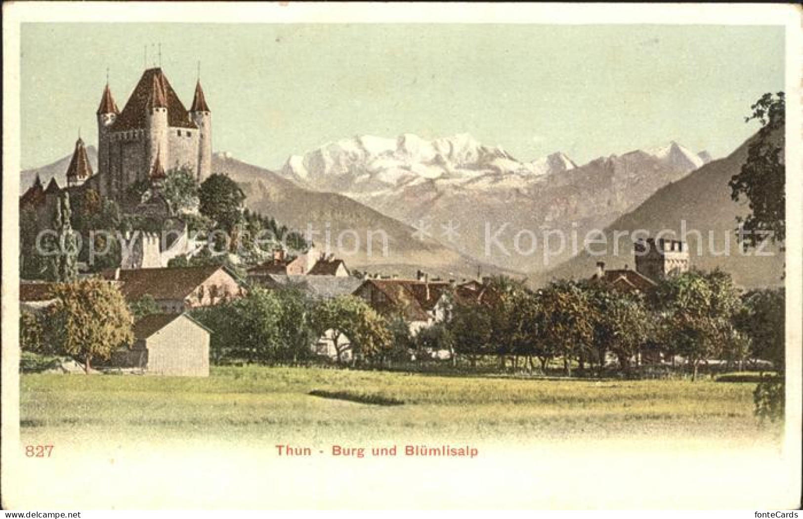 11769317 Thun BE Burg Und Bluemlisalp Thun - Sonstige & Ohne Zuordnung