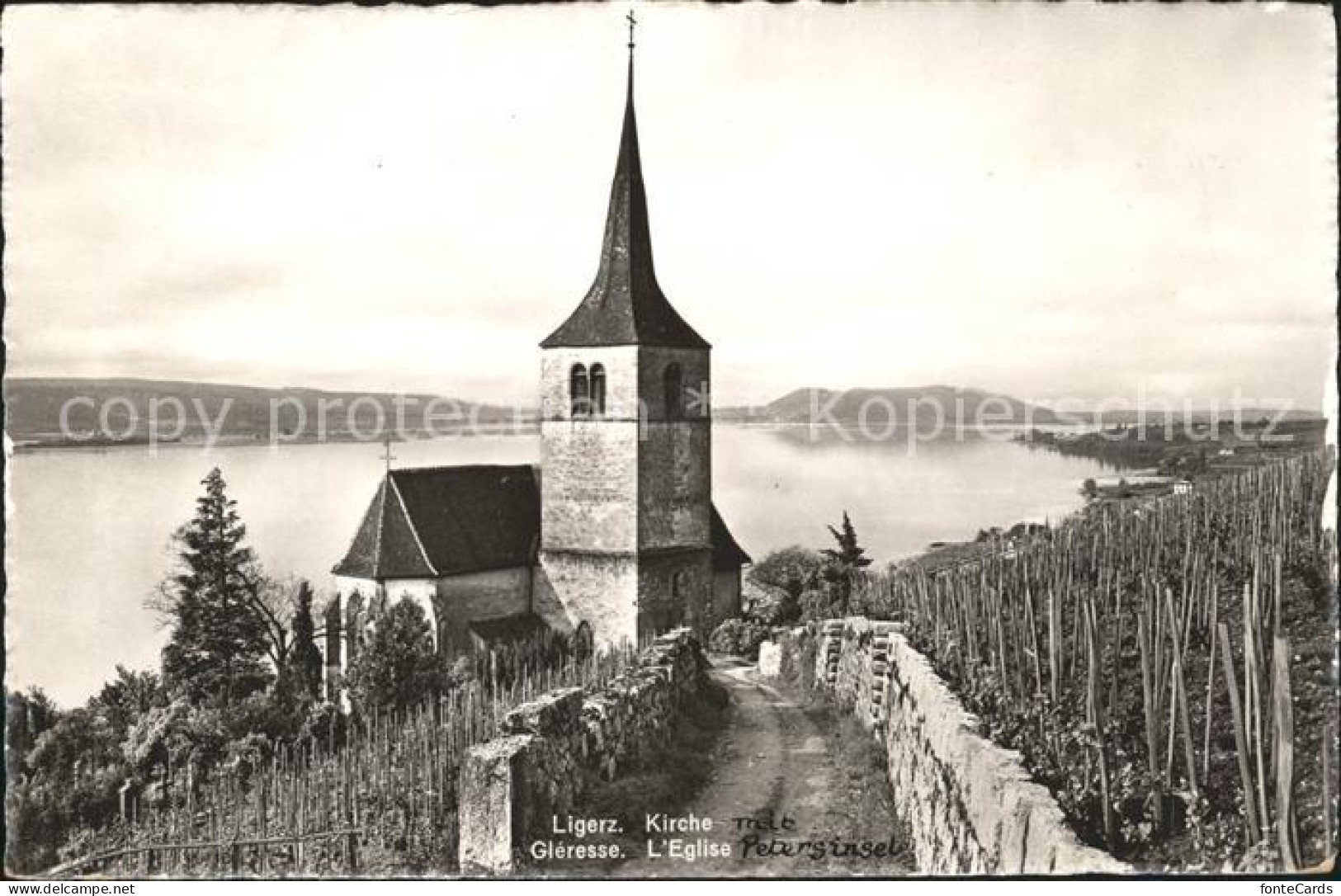 11769187 Ligerz Kirche Ligerz - Sonstige & Ohne Zuordnung