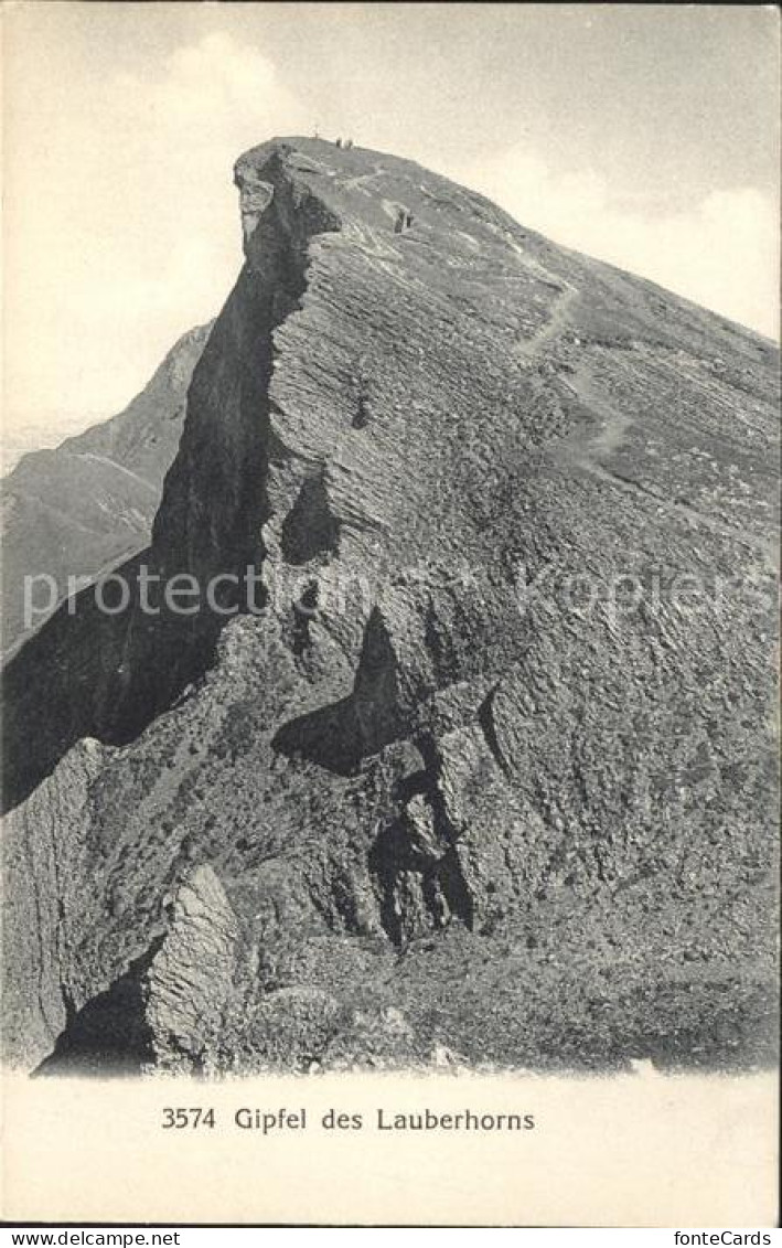 11769176 Lauberhorn Gipfelblick Lauberhorn - Autres & Non Classés