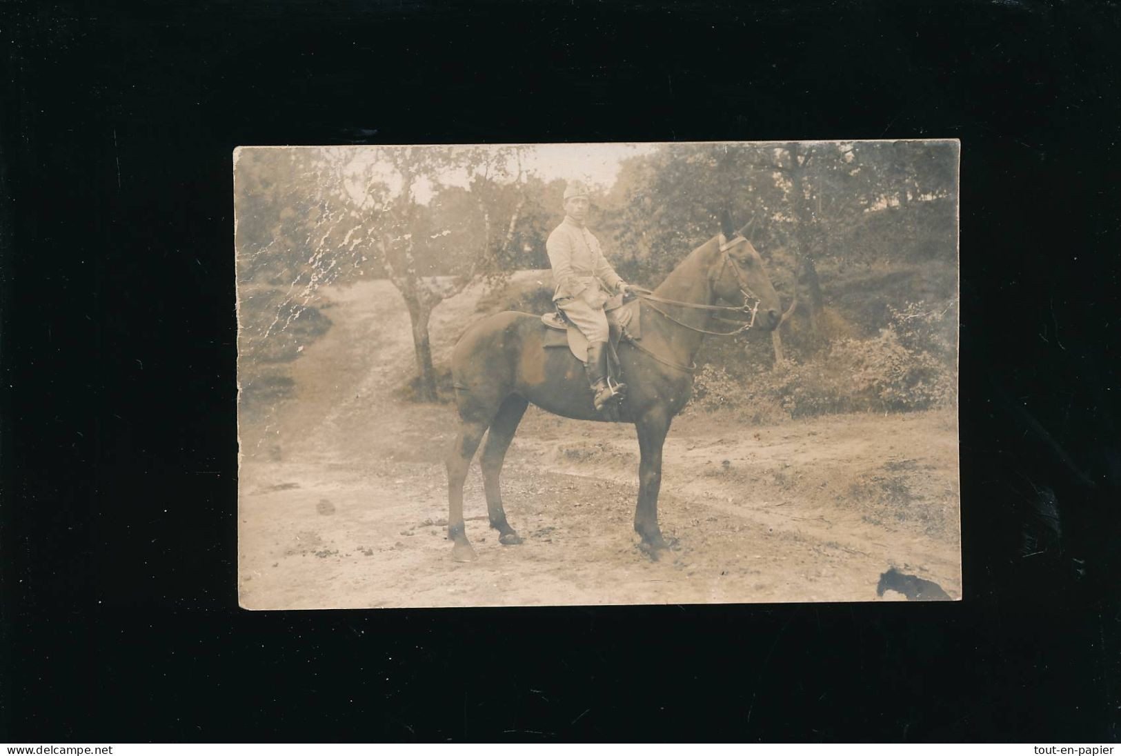 Carte Photo Armée  Militaire Soldats Cavalier Sur Cheval à Identifier - Guerre, Militaire