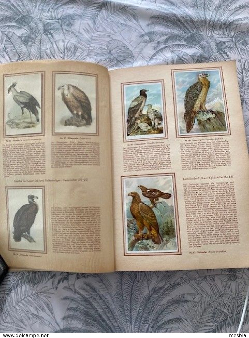 KOSMOS  ZIGARETTENBILDER -  BUNTE  VOGEL  AUS  ALLER  WELT -  Album Complet , 150 Images - Other & Unclassified