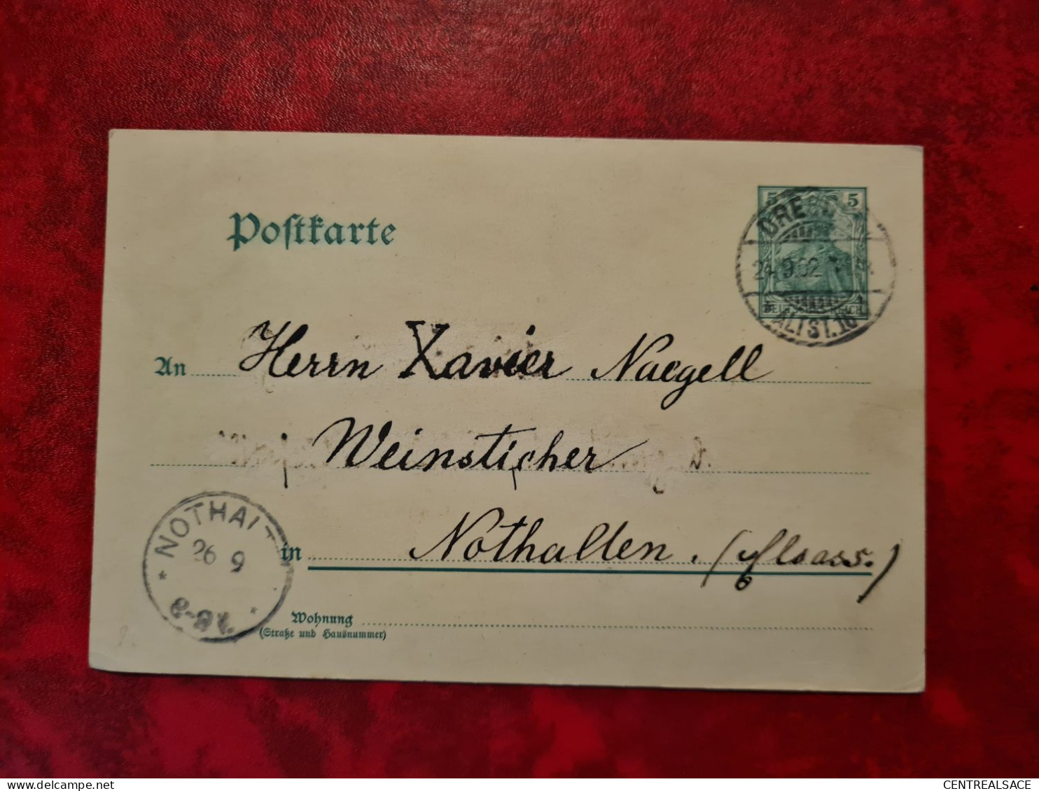 CARTE ENTIER GANZACHE DRESDEN  POUR NOTHALTEN 1902 - Sonstige & Ohne Zuordnung